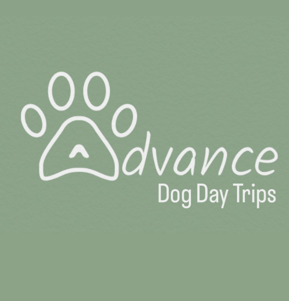 Advance Dog Day Trips